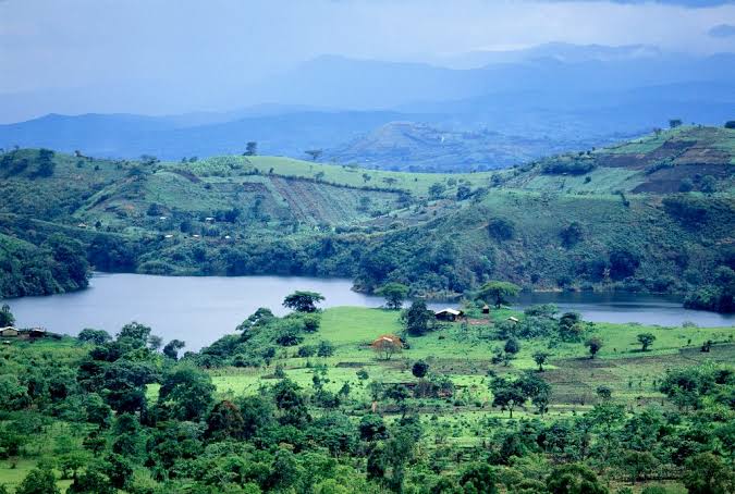 Kibale Forest